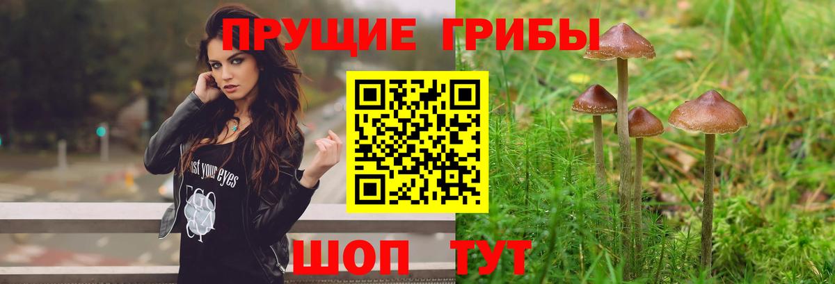 Галлюциногенные грибы мицелий Луховицы